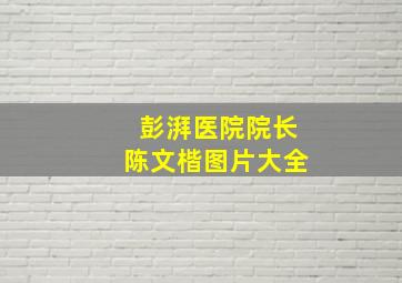 彭湃医院院长陈文楷图片大全