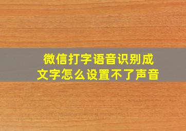 微信打字语音识别成文字怎么设置不了声音