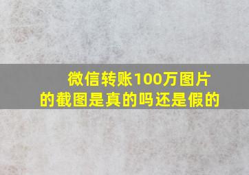 微信转账100万图片的截图是真的吗还是假的