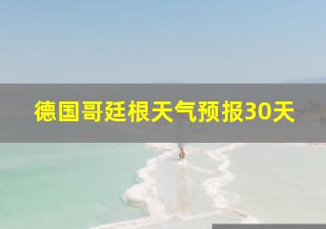 德国哥廷根天气预报30天