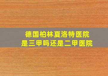 德国柏林夏洛特医院是三甲吗还是二甲医院