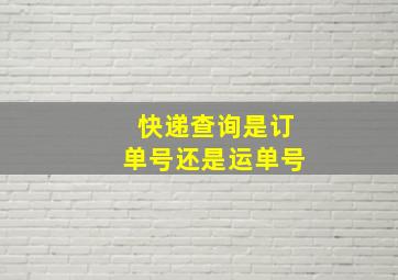 快递查询是订单号还是运单号