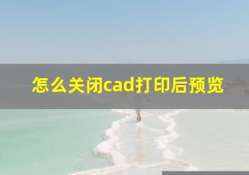 怎么关闭cad打印后预览