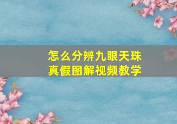 怎么分辨九眼天珠真假图解视频教学