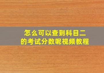 怎么可以查到科目二的考试分数呢视频教程