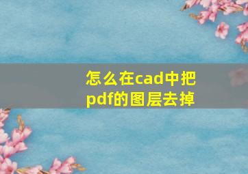 怎么在cad中把pdf的图层去掉