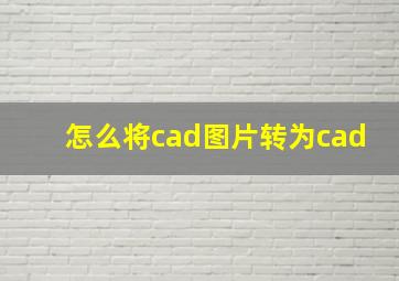 怎么将cad图片转为cad