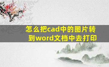 怎么把cad中的图片转到word文档中去打印