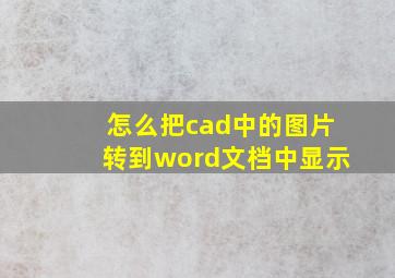 怎么把cad中的图片转到word文档中显示