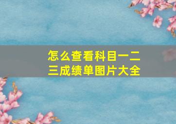 怎么查看科目一二三成绩单图片大全