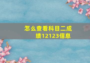 怎么查看科目二成绩12123信息