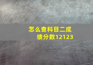 怎么查科目二成绩分数12123