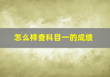 怎么样查科目一的成绩