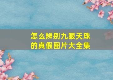 怎么辨别九眼天珠的真假图片大全集