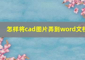 怎样将cad图片弄到word文档