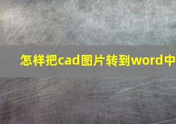 怎样把cad图片转到word中