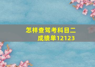 怎样查驾考科目二成绩单12123