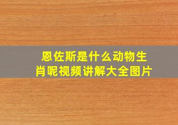 恩佐斯是什么动物生肖呢视频讲解大全图片