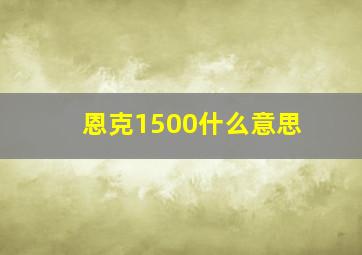 恩克1500什么意思