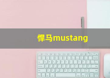 悍马mustang