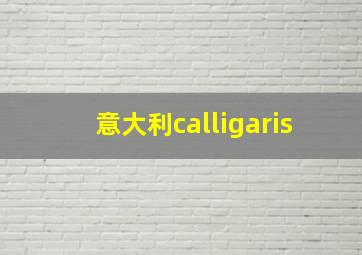 意大利calligaris