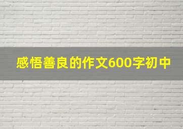 感悟善良的作文600字初中