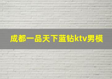 成都一品天下蓝钻ktv男模