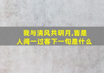 我与清风共明月,皆是人间一过客下一句是什么