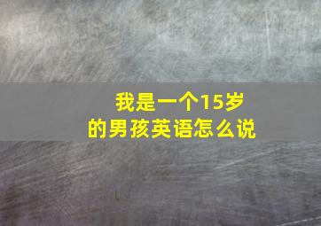 我是一个15岁的男孩英语怎么说