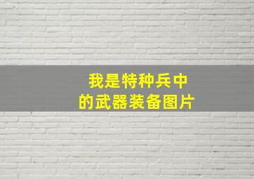 我是特种兵中的武器装备图片