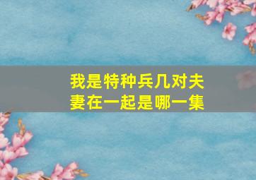 我是特种兵几对夫妻在一起是哪一集