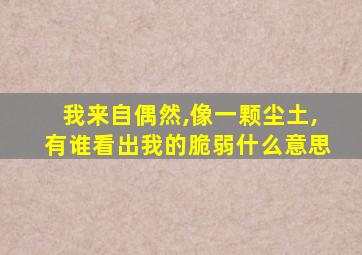 我来自偶然,像一颗尘土,有谁看出我的脆弱什么意思