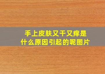 手上皮肤又干又痒是什么原因引起的呢图片