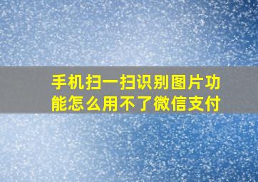 手机扫一扫识别图片功能怎么用不了微信支付