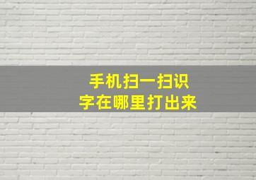 手机扫一扫识字在哪里打出来