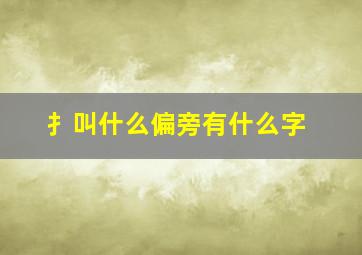 扌叫什么偏旁有什么字