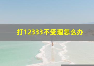 打12333不受理怎么办