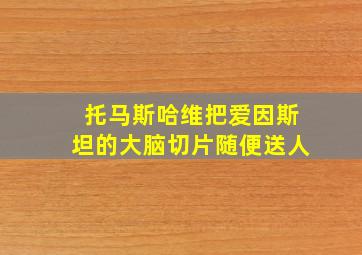 托马斯哈维把爱因斯坦的大脑切片随便送人