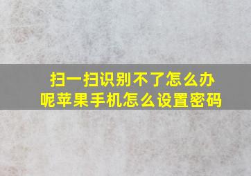 扫一扫识别不了怎么办呢苹果手机怎么设置密码