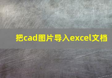 把cad图片导入excel文档