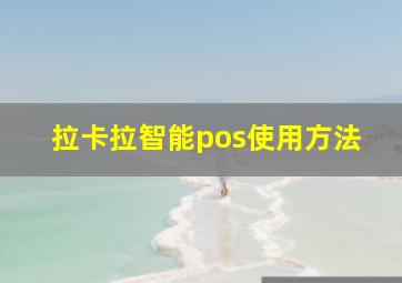 拉卡拉智能pos使用方法