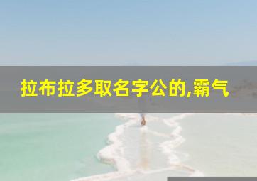 拉布拉多取名字公的,霸气