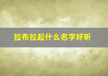 拉布拉起什么名字好听