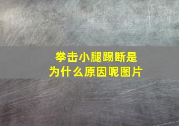 拳击小腿踢断是为什么原因呢图片