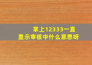 掌上12333一直显示审核中什么意思呀