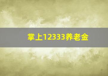 掌上12333养老金