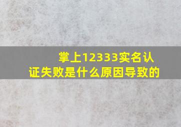 掌上12333实名认证失败是什么原因导致的