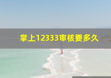 掌上12333审核要多久