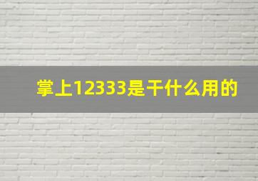 掌上12333是干什么用的