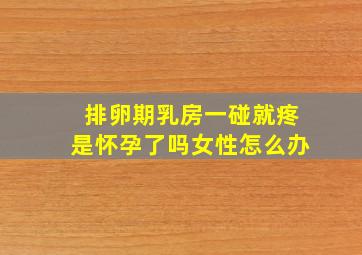 排卵期乳房一碰就疼是怀孕了吗女性怎么办